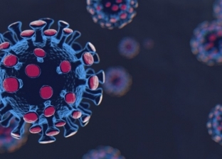 اكتشاف سلالة جديدة من فيروس كورونا في بلجيكا