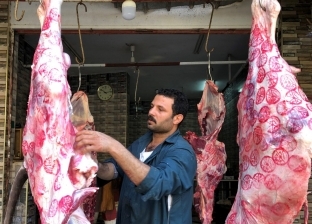 أسعار اللحوم في المجمعات ومنافذ الدولة اليوم.. الكبدة بـ87 جنيها