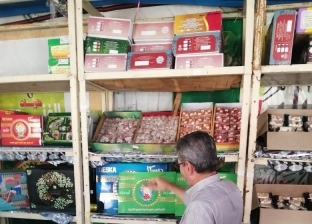 قبل المولد النبوي.. ضبط 58 منشأة غذائية تنتج حلوى فاسدة في الشرقية