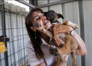 فلسطينية تكرس حياتها لخدمة "الكلاب": "يجب أن نتكلم نحن عنها"