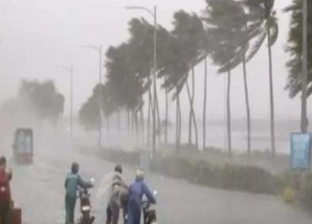 بالفيديو| لحظة وقوع لوح زجاجي عملاق من ناطحة سحاب بسبب إعصار "مانكوت"