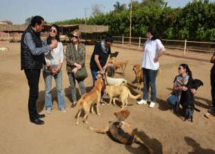 بالفيديو| طارق علام يعرض ملجأ للحيوانات الضالة وكلاب الشوارع في مصر