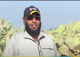 صاحب مزرعة تين شوكي: فاكهة البسطاء وسعرها 50 قرشا في القرى