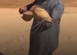 حقيقة وجود أسماك «القراميط» في صحراء السعودية (صور)