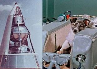 تعرف على تفاصيل رحلة الكلبة "لايكا" إلى الفضاء