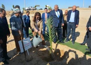 وزيرة التضامن تزرع "شجرة" على طريق مطار الخارجة بالوادي الجديد