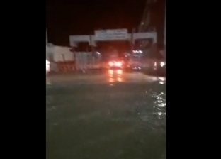 لدغات عقارب وانهيار منازل بسبب السيول في أسوان.. (فيديو)