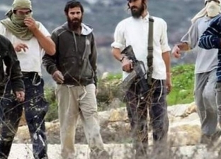 مستوطنون إسرائيليون يقطعون 30 شجرة زيتون من أراضي «ترمسعيا»