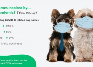 أسماء الكلاب تأثرت بفيروس "كورونا": "رونا وكوفى" الأكثر انتشارا
