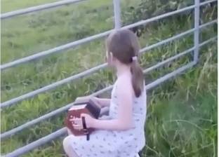 بالفيديو| الأبقار تستمتع بموسيقى طفلة موهوبة
