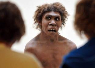 طالب بريطاني يكتشف أسنان تعود لأقدم أسلاف البشر
