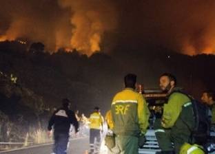 حريق في غابة غرب أثينا.. وأمر بإجلاء سكان
