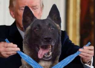 ترامب والكلب "البطل الموهوب".. صورة فوتوشوب تشعل "تويتر"