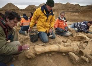 عظام متحجرة تكشف عن نوع بشري قديم عاش مع الإنسان المعاصر