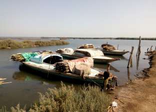 «الصيد الآلي»: بحيرة البرلس ترفع شعار «وطن أخضر» غدا