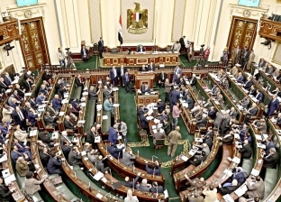 برلماني: الدولة جهزت عدة سيناريوهات لمواجهة تداعيات أزمة كورونا