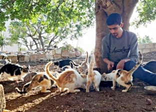 قصة مدينة سورية تعيش فيها قطط أكثر من البشر