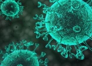 عاجل.. روسيا تعلن إصابة 7 مواطنين بإنفلونزا الطيور «H5N8»