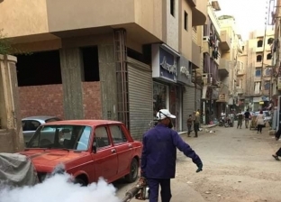 وحدة "الملاريا" تشن حملات لمكافحة الذباب والناموس بمدينة ملوى