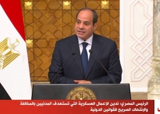 شولتس: ألمانيا تدعم جهود مصر لتهدئة التوترات في غزة