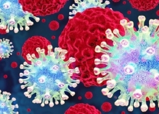 أخطر 30 مرة من كورونا.. سبب إطلاق اسم «الوباء الكبير» على فيروسات paramyxovirus