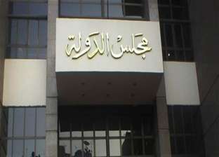 الحكم في دعوى حظر تطبيق «تيك توك» في مصر 26 ديسمبر