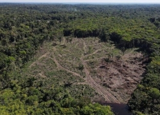 اكتشاف مدينة دفنتها غابات الأمازون بعد 2000 عام من الاختفاء.. ما القصة؟