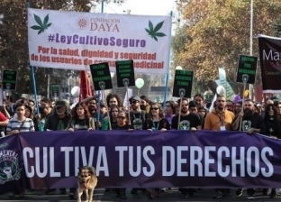 صور| الآلاف في تشيلي يتظاهرون للمطالبة بتنظيم زراعة الماريجوانا