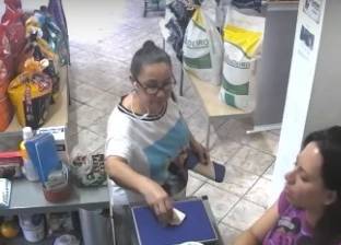 بالفيديو| طائر يسرق نقودا من سيدة في محل تجاري