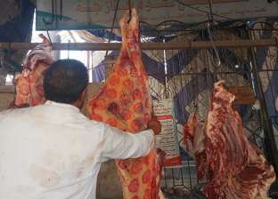 الكندوز الحي بـ51 جنيها.. نقيب الجزارين: أسعار اللحوم انخفضت