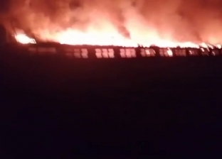 السيطرة على حريق بمزرعة تسمين دواجن بالمحلة دون إصابات (صور)