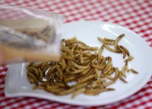 كوريا الجنوبية تشجع على أكل "الصراصير" والديدان