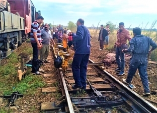 إعادة جرار قطار بضائع لمساره بعد اصطدامه بـ«جاموسة» في الدقهلية