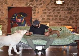 لبنانيان يخصصان فندقا لـ"الكلاب": ياكلوا ويناموا فيه