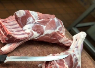 استقرار أسعار اللحوم في محلات الجزارة اليوم الاثنين 9-10-2023