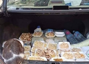 زوجان يقدمان وجبات فاخرة لقطط وكلاب الشوارع بكفر الشيخ: لحوم ومياه معدنية