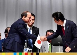 قبل انتخاب رئيس وزراء اليابان .. شراكة اقتصادية قوية بين «القاهرة وطوكيو»