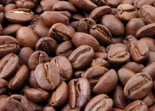 شعبة البن: نتمنى زراعة أشجار القهوة في مصر.. والمبيعات قوية