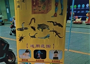 رغم كورونا.. أسواق بالصين ما زالت تبيع الخفافيش واللحوم الغريبة