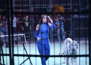 بالصور| أنوسة كوتة تتألق في السيرك بعرض مع النمور والأسود