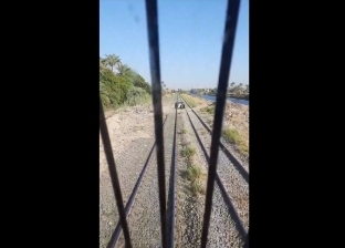 «توك توك» يعترض قطار «القاهرة- الأقصر» (فيديو)