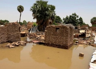 أراضي طرح النهر الأكثر تضررا في فيضان النيل.. تعرف على المسافة الآمنة