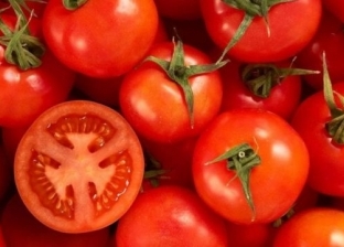 «ناسا» تعثر على بقايا طماطم في الفضاء.. هل يمكن زراعة الخضراوات على المريخ؟