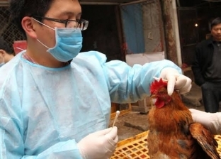 الصين تسجل أول وفاة بشرية بمتحور جديد من إنفلونزا الطيور