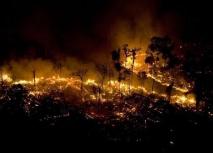 رغم حريق غابات الأمازون.. مطربة ووزير وصحفية في "تريند جوجل" البرازيل