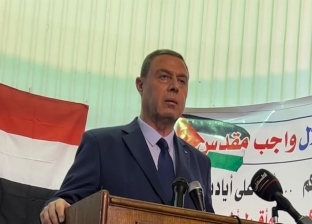 سفير فلسطين بالقاهرة يطالب بوقف الإبادة الجماعية في قطاع غزة