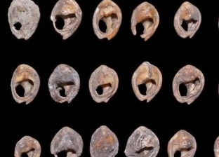 علماء يكتشفون أقدم مجوهرات في التاريخ.. عمرها 150 ألف سنة