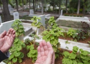 زراعة النباتات بالمقابر تخفف العذاب عن الميت أم لا؟.. تعرف على الإجابة