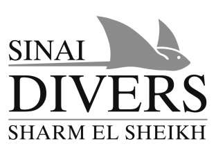 أقدم مراكز تعليم الغوص في شرم الشيخ يغلق أبوابه بسبب ركود السياحة