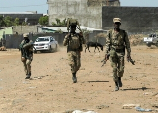20 قتيلا وآلاف المشردين باشتباكات في منطقة عفار الإثويبية